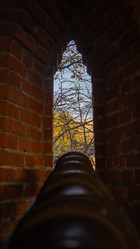 Similar image 21910951