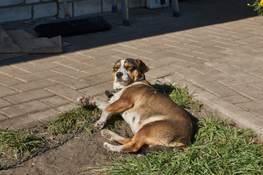 Similar image 21907126