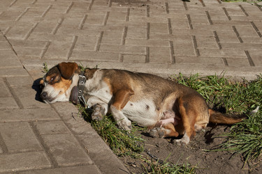 Similar image 21907127