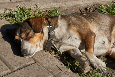 Similar image 21907128