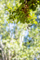 Similar image 21908492