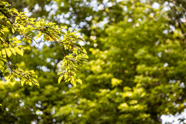 Similar image 21908494