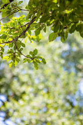 Similar image 21908498