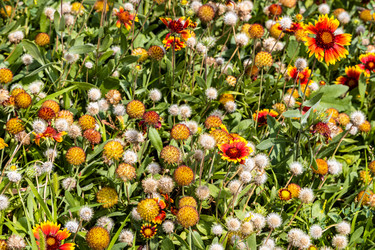 Similar image 21908518