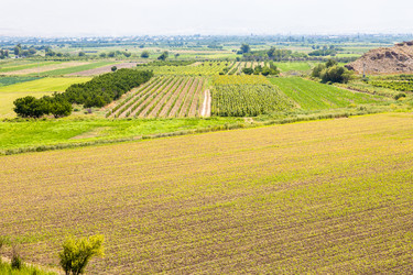 Similar image 21908522