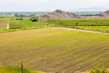 Similar image 21908526