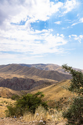 Similar image 21908541