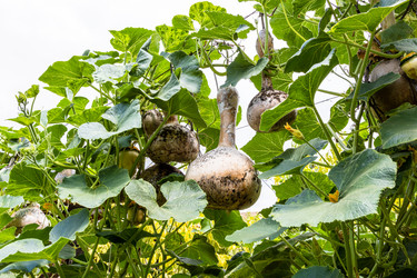 Similar image 21908549