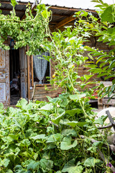 Similar image 21908550