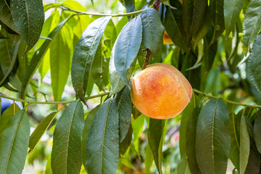 Similar image 21908552