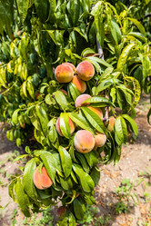 Similar image 21908553