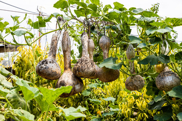 Similar image 21908556