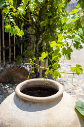 Similar image 21908557