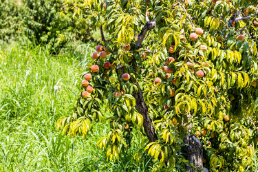 Similar image 21908558