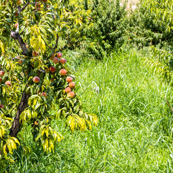 Similar image 21908559