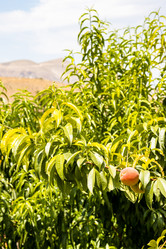 Similar image 21908560