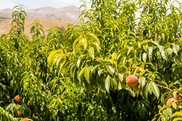 Similar image 21908561