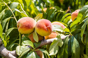 Similar image 21908562