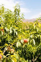 Similar image 21908563