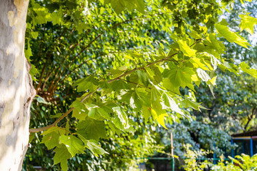 Similar image 21908569