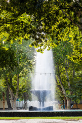 Similar image 21908581