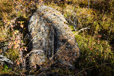 Similar image 21906730