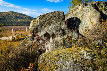 Similar image 21906731