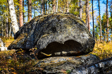 Similar image 21906733