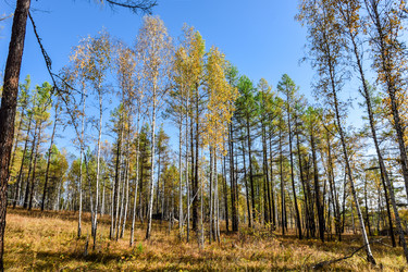 Similar image 21906734