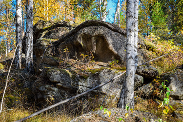 Similar image 21906736