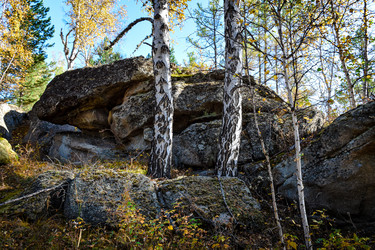 Similar image 21906738