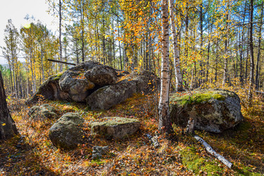 Similar image 21906739