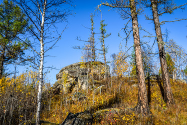 Similar image 21906742