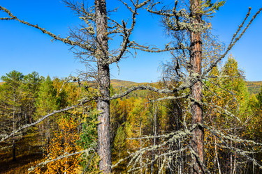 Similar image 21906746