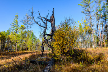 Similar image 21906748