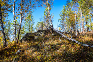 Similar image 21906749