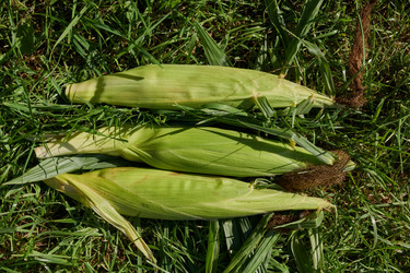 Similar image 21907129