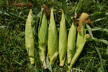 Similar image 21907132