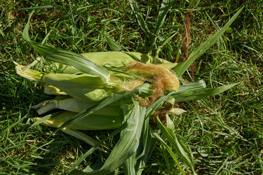 Similar image 21907133