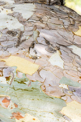 Similar image 21908694