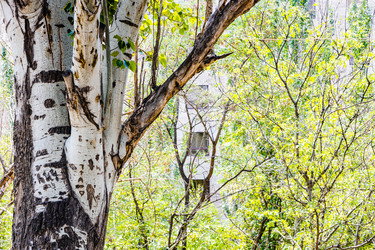 Similar image 21908699