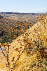 Similar image 21908701