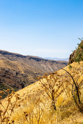 Similar image 21908707