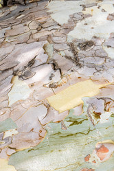 Similar image 21908710