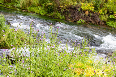 Similar image 21908714