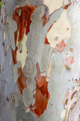 Similar image 21908718