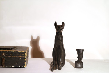 Similar image 21906750