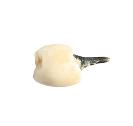 Similar image 21908609