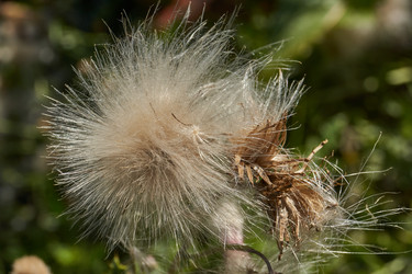 Similar image 21907135