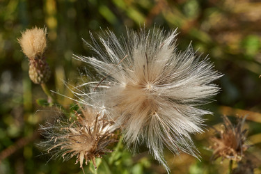 Similar image 21907136